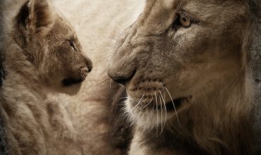 Rise Again Today - Working Hard